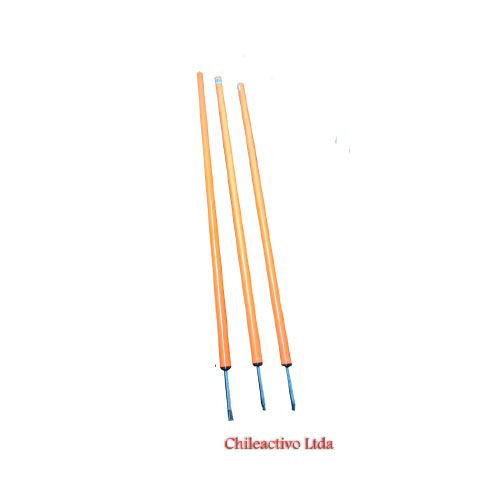 ChileActivo